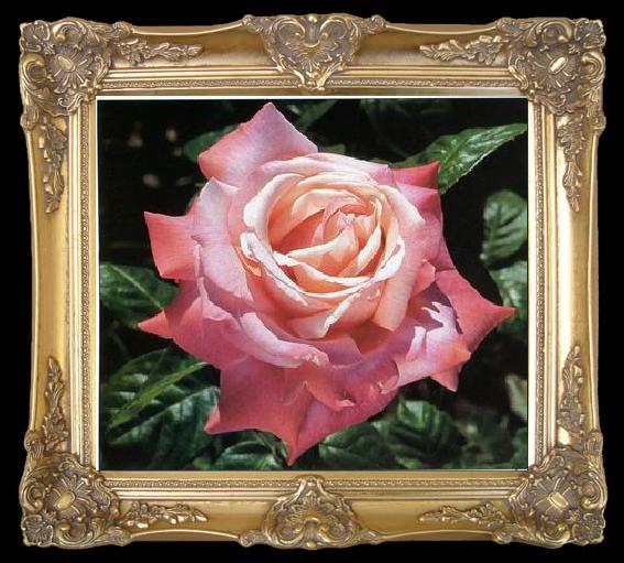 framed  unknow artist Still life floral, all kinds of reality flowers oil painting  155, TA216